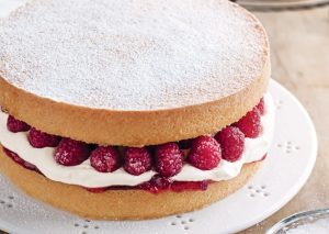 jam cream sponge cake